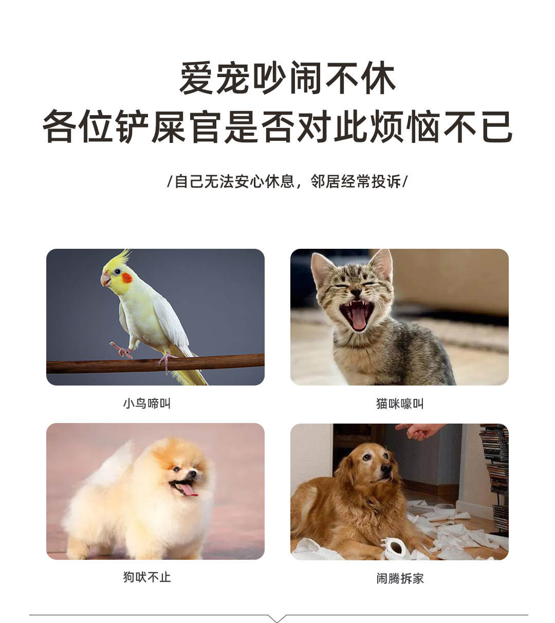 详情_03.jpg
